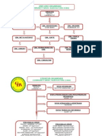 Struktur Organisasi Cba