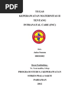 Download Intranatal Care by AULIA RAHMAN SN80884947 doc pdf