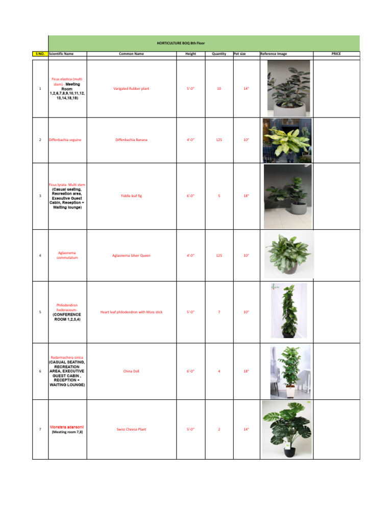 Horticulture BOQ for Office Plants | PDF | Ficus | Botany