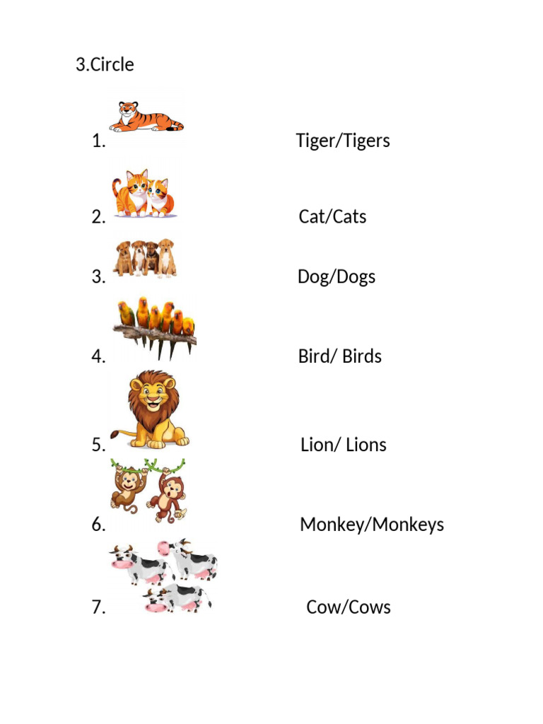 Animal Names and Plurals List | PDF