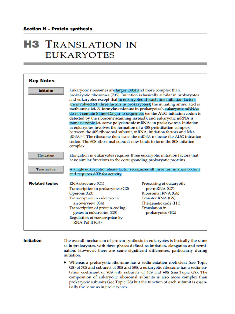 Translation in Eukaryotes | PDF
