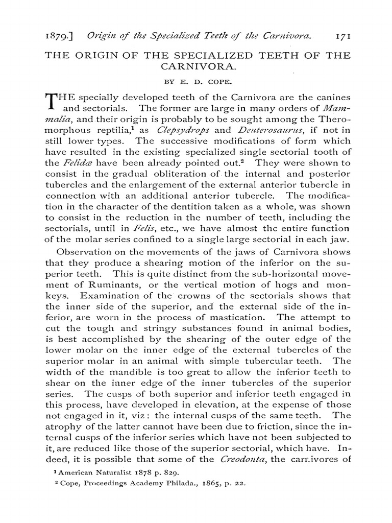 Cope 1879 The Origin of The Specialized Teeth of The Carnivora | PDF ...