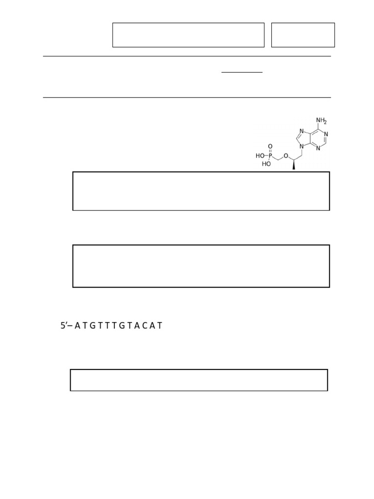 Blank Practice Exam | PDF | Nucleic Acid Sequence | Dna
