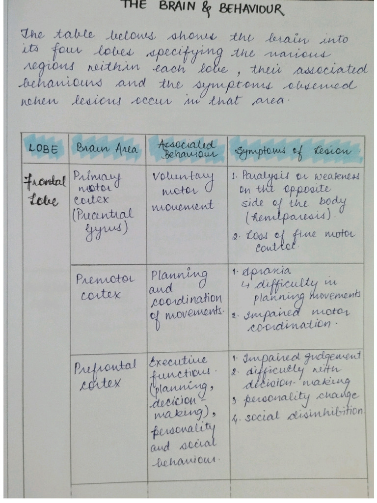 Short Notes of Brain Areas Functions and Disorder | PDF