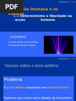 DETERMINISMO E LIBERDADE (de acordo com o manual "Pensar Azul")