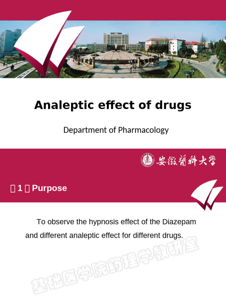 Analeptic Effect of Drugs | PDF