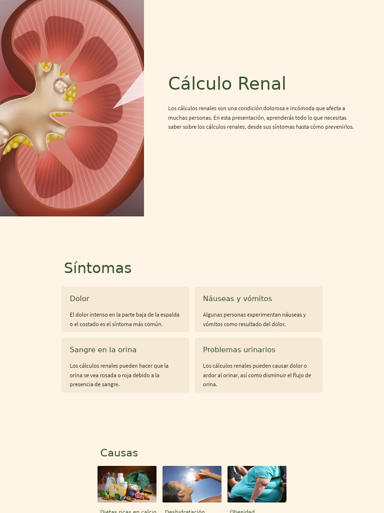 Cálculos Renales: Síntomas y Prevención | PDF | Riñón | Orina