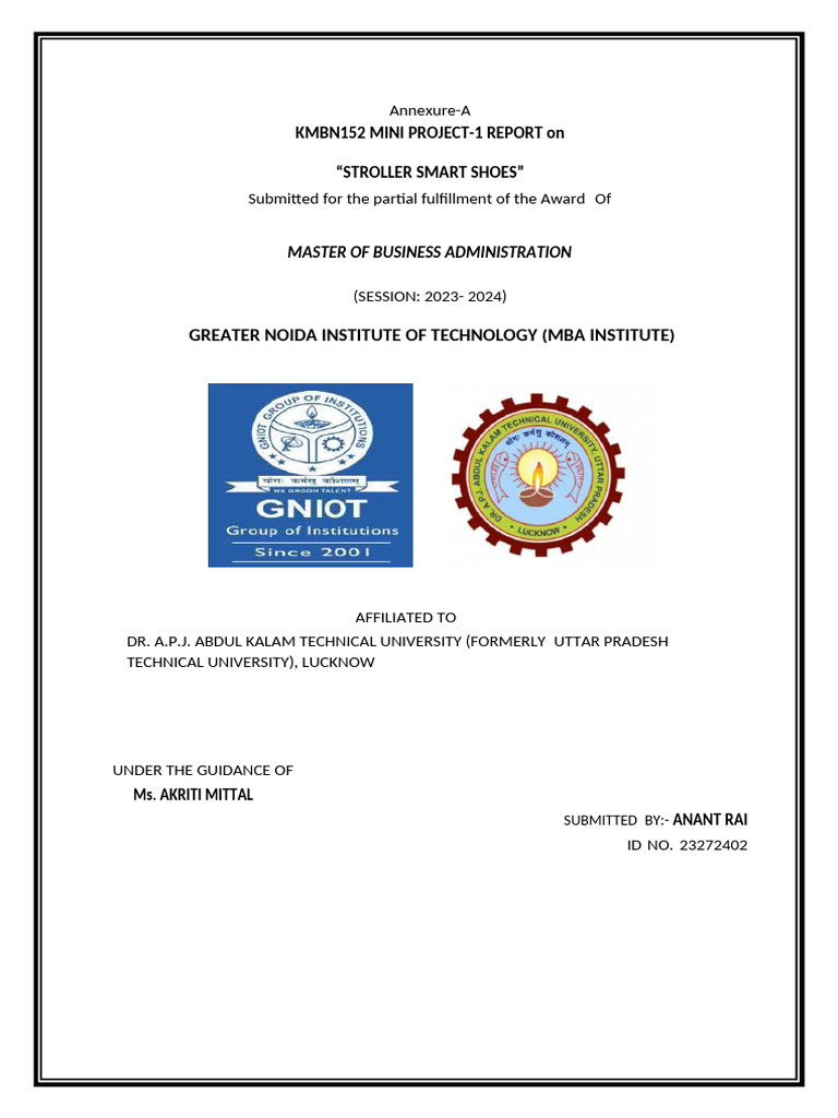 Anant Mini Project 1-1 | PDF | Market Segmentation | Internal Rate Of ...