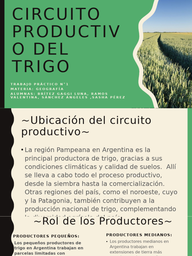 Circuito Productivo del Trigo Argentino | PDF | Trigo | Agricultura