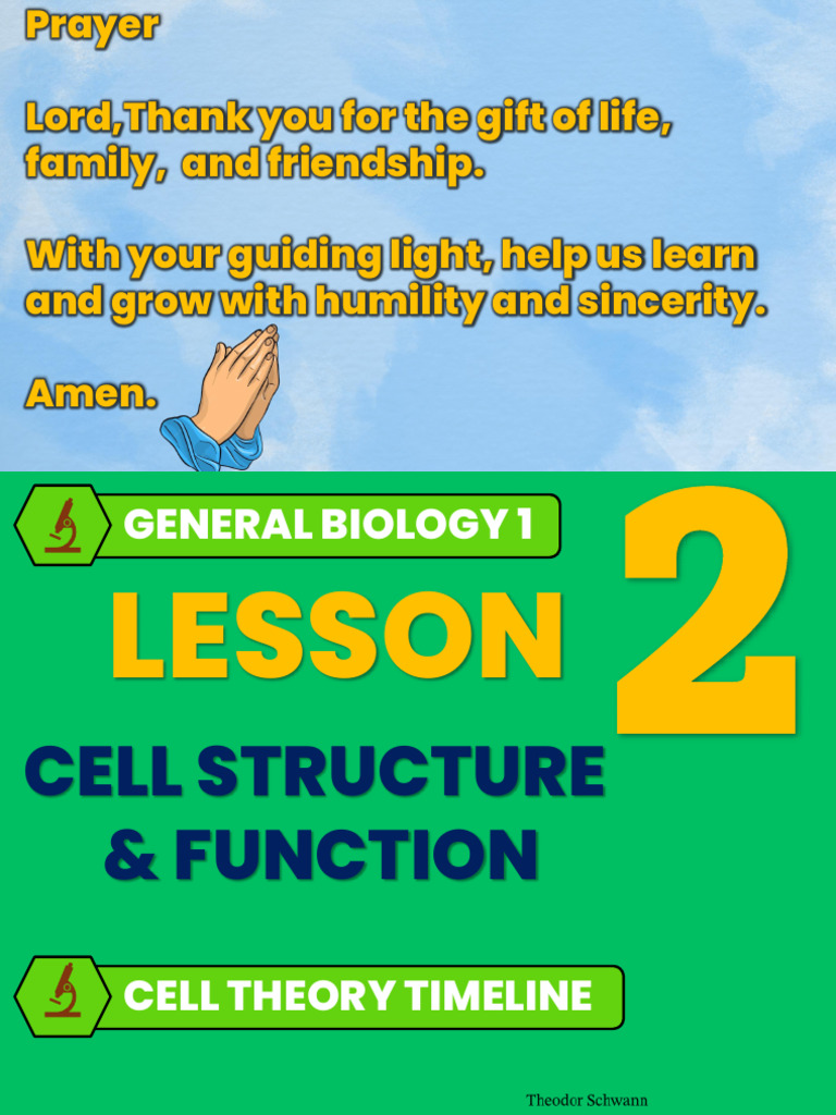 Lesson 2 Cell Structure | PDF