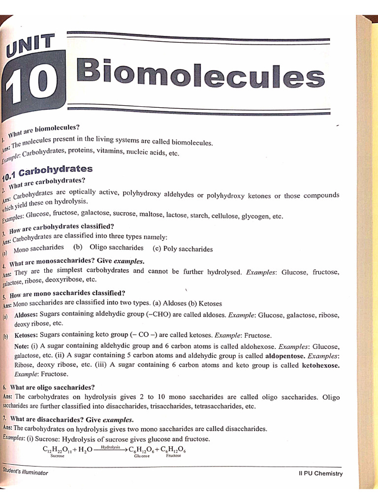 Bio Molecules | PDF