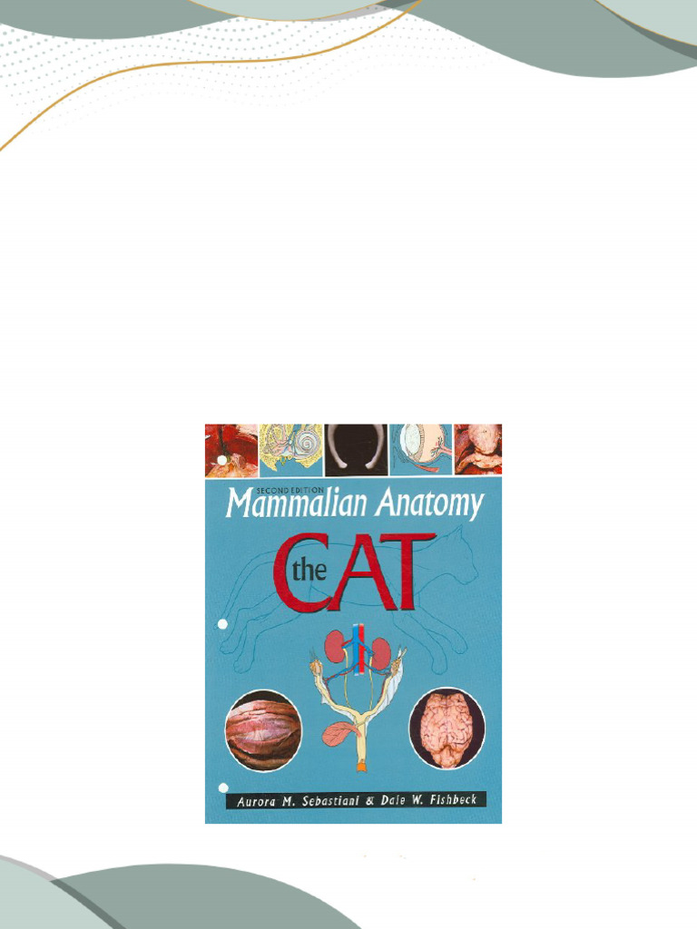 mammalian-anatomy-the-cat-2nd-edition-aurora-m-sebastiani-2024-scribd
