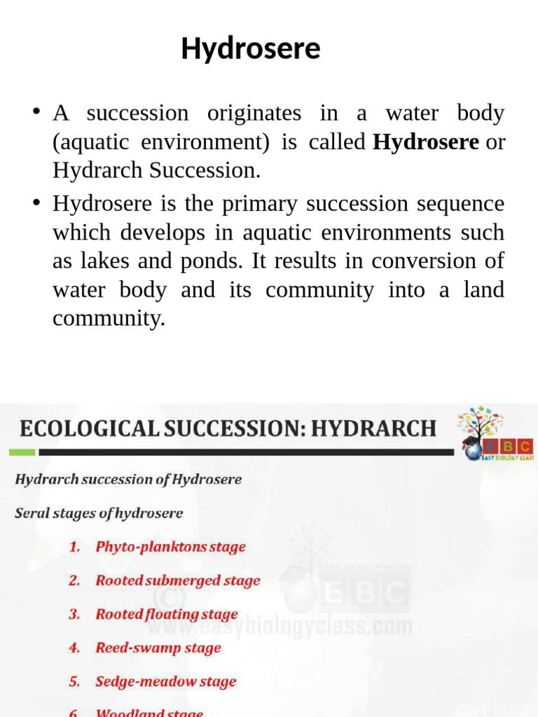 Hydrosere and Its Succession Stages | PDF | Earth Sciences | Physical ...