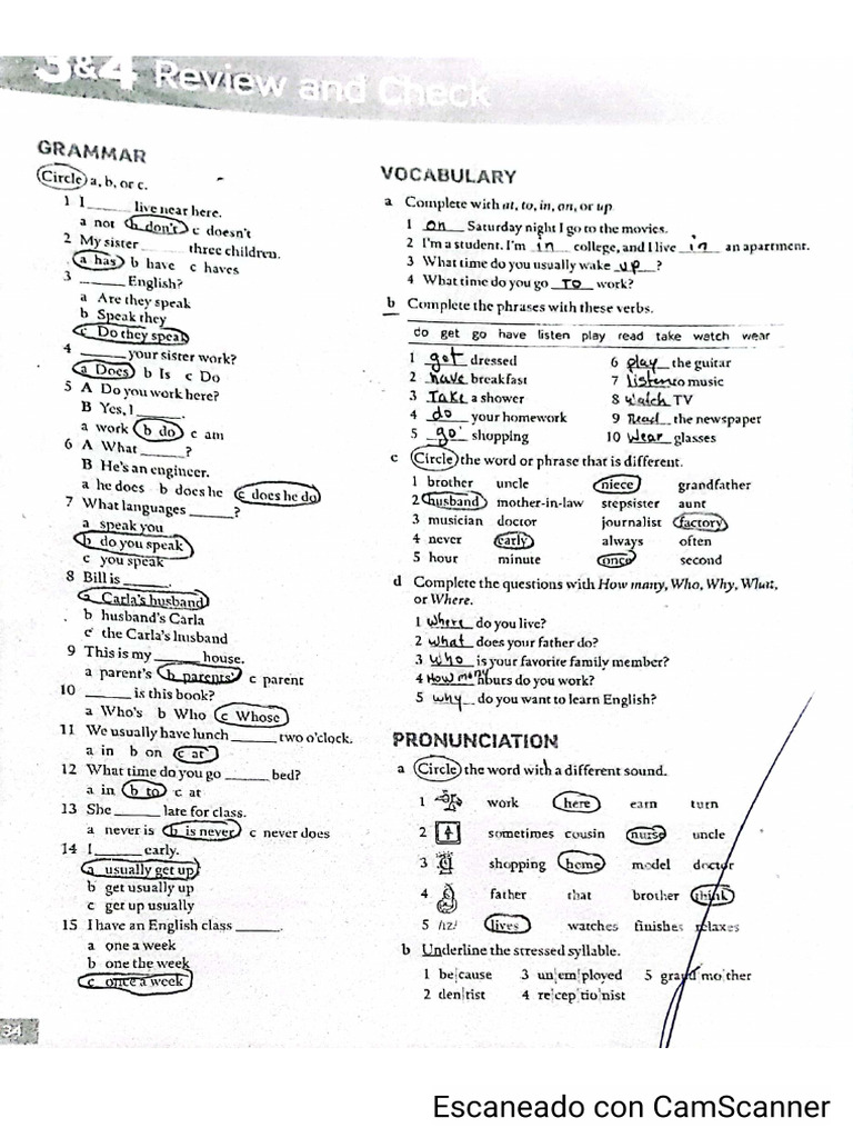 3&4 Review and Check | PDF