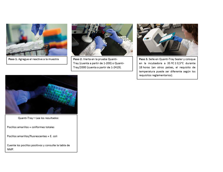 ESQUEMA COLILERT | PDF