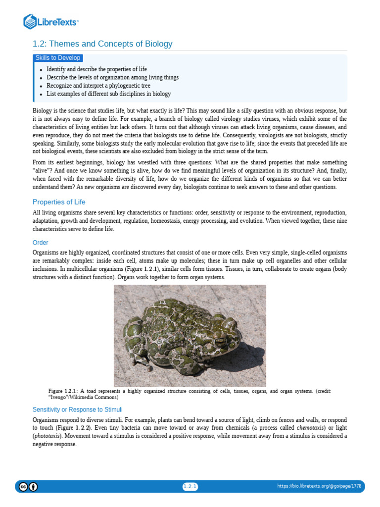 Properties and Organization of Life | PDF | Cell (Biology) | Prokaryote