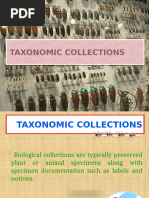 Insect Collection Labeling Guide | PDF | Insects | Arthropods