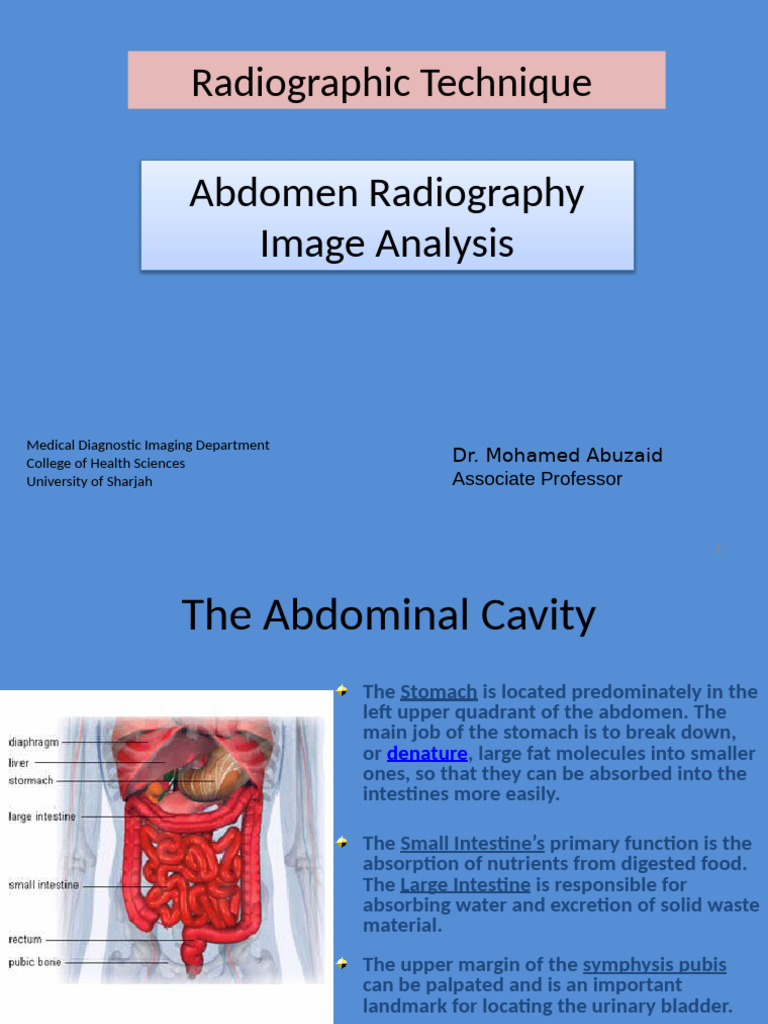 Abdomen Image Analysis | PDF | Abdomen | Pelvis