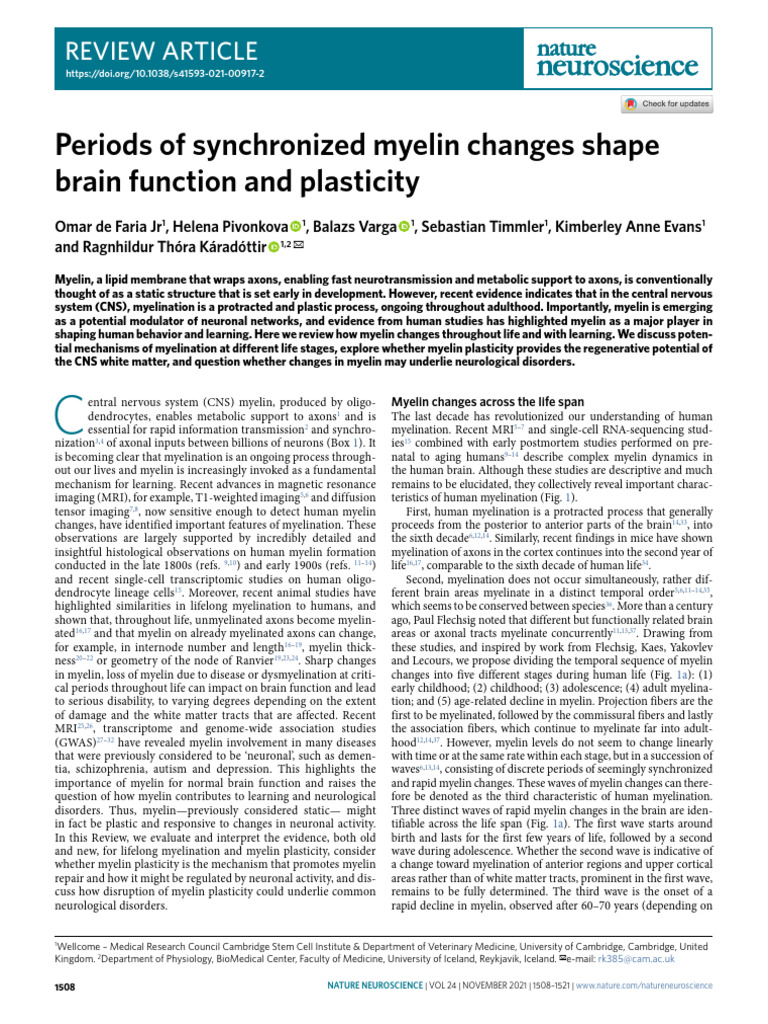 A4 Periods of Synchronized Myelin Changes Shape | PDF | Myelin | Axon