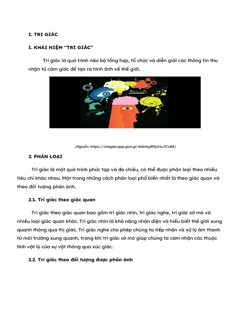 Tri Giác Và Chú Ý | PDF