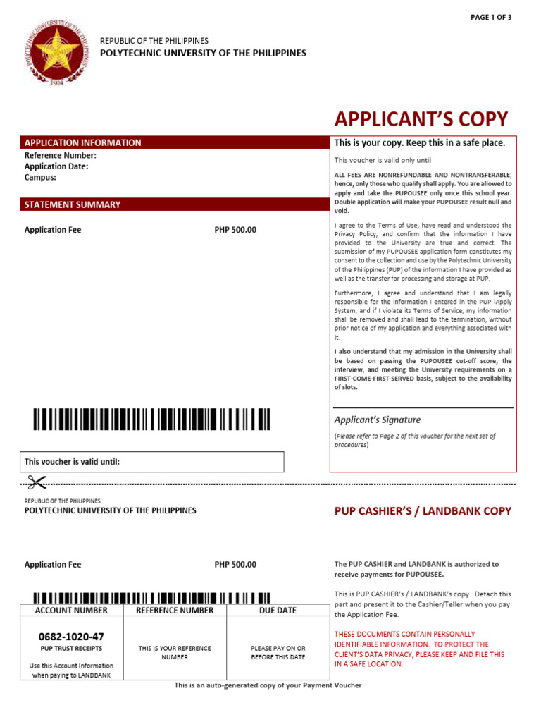 PUP iApply Application Guidelines | PDF