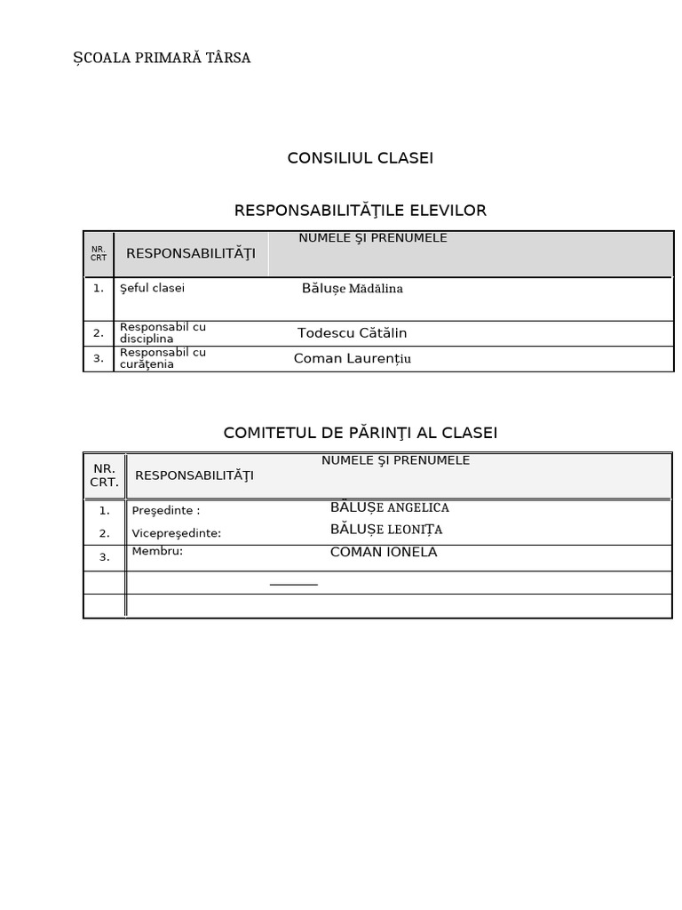 Consiliul Clasei | PDF