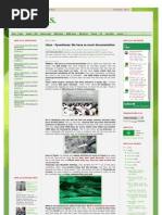 Download Libya - Eyewitness We have so much documentation by Libya SOS SN80910748 doc pdf