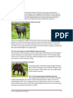 Download Fauna Endemik by Inggrid Kwen SN80916143 doc pdf