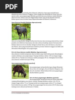 Download Fauna Endemik by Inggrid Kwen SN80916143 doc pdf