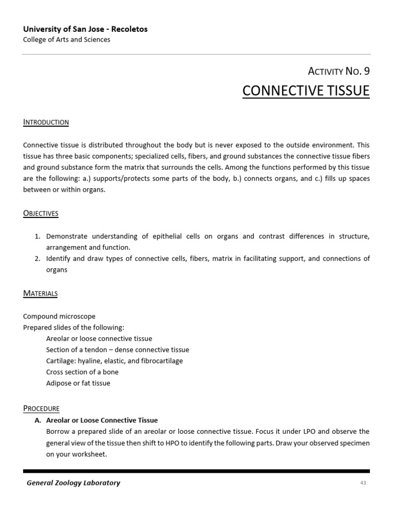 FILE_2532 | PDF | Connective Tissue | Cartilage