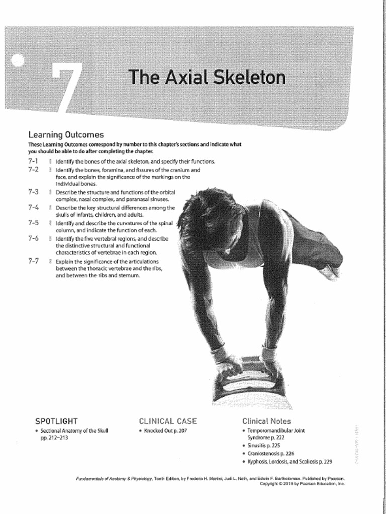 7 Axial Skeleton | PDF