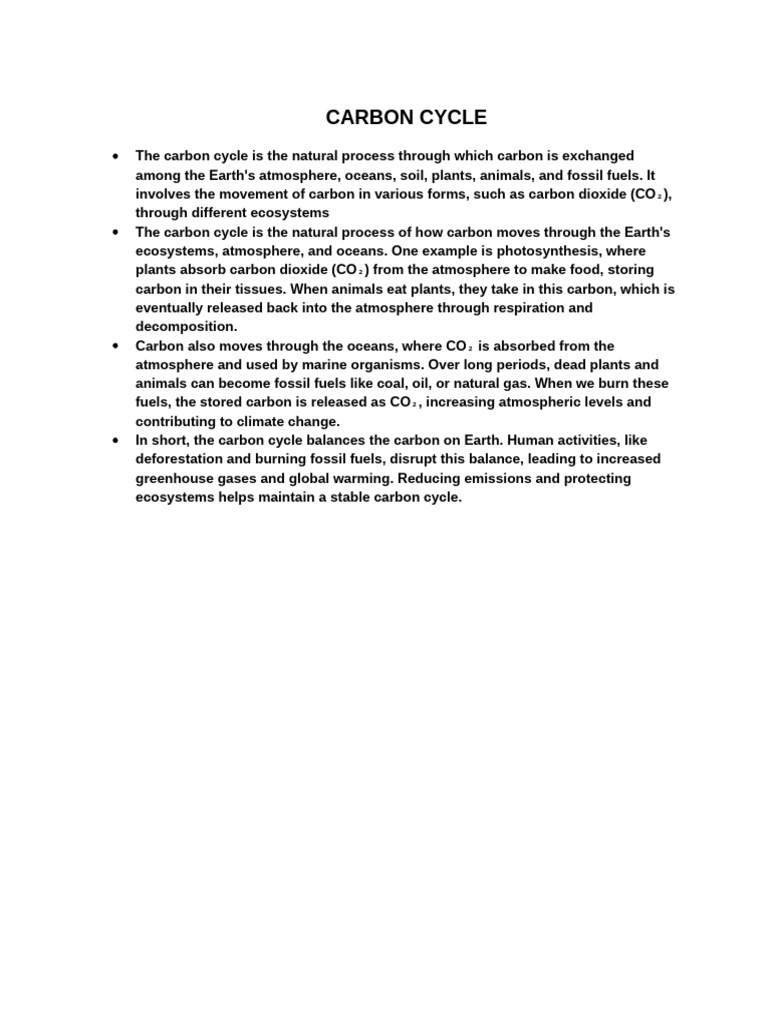 Carbon Cycle | PDF