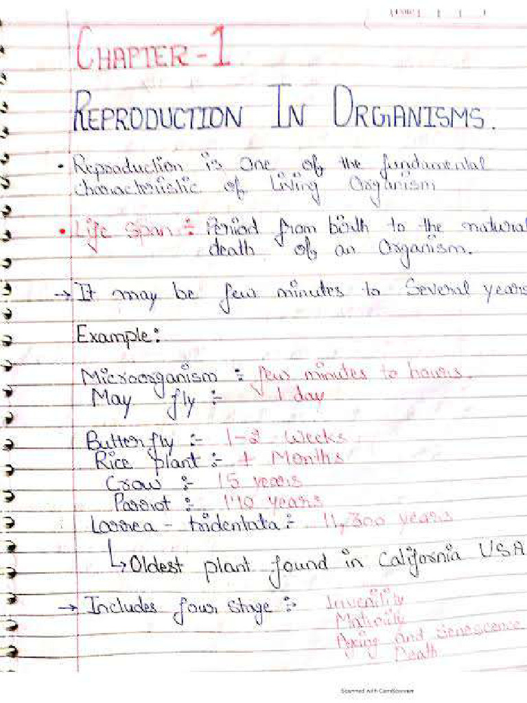 Class Notes On RC | PDF