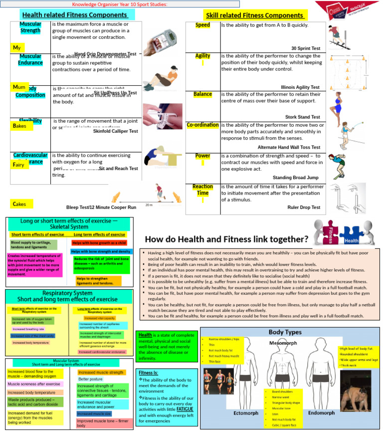 Knowledge Organiser - Year 10 Sport | PDF | Physical Fitness | Muscle