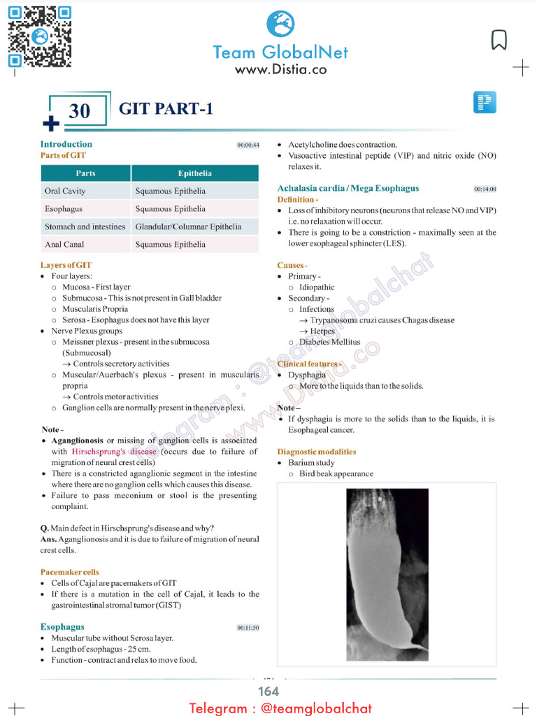 09 Git | PDF