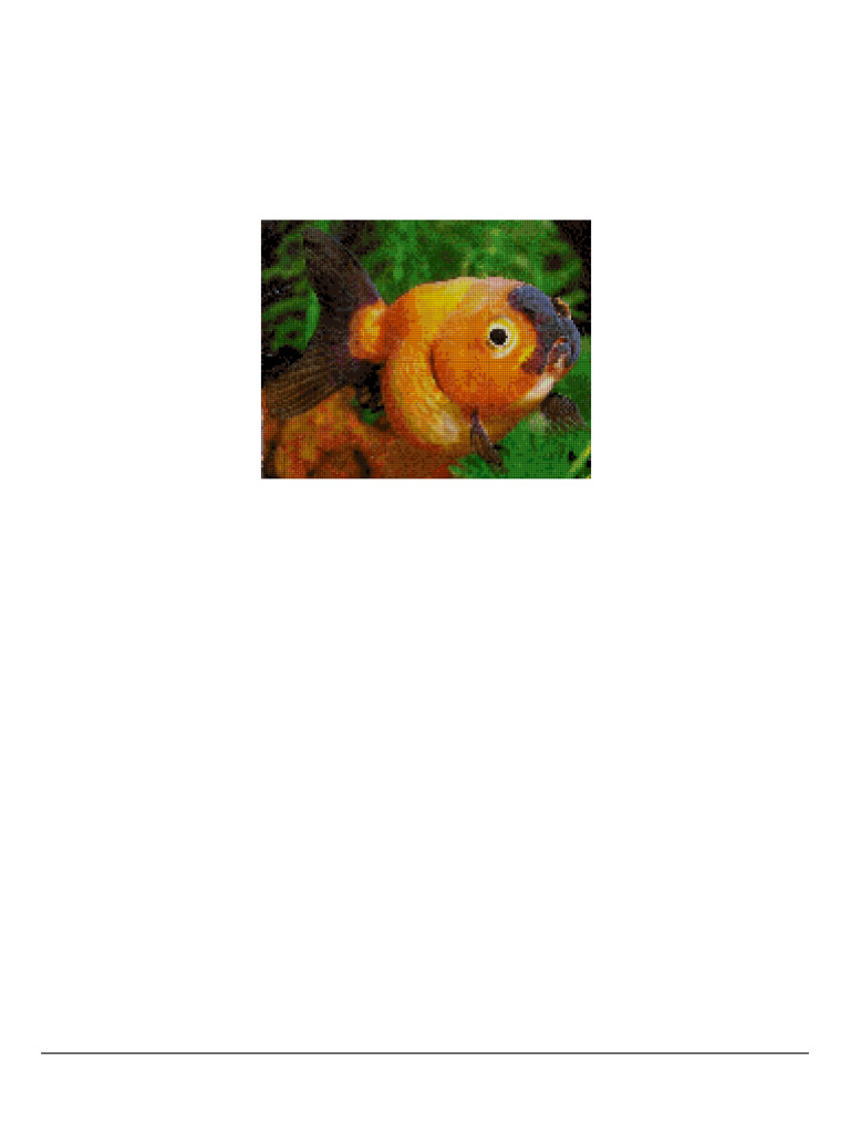 Cutest Goldfish Cross Stitch Pattern | PDF