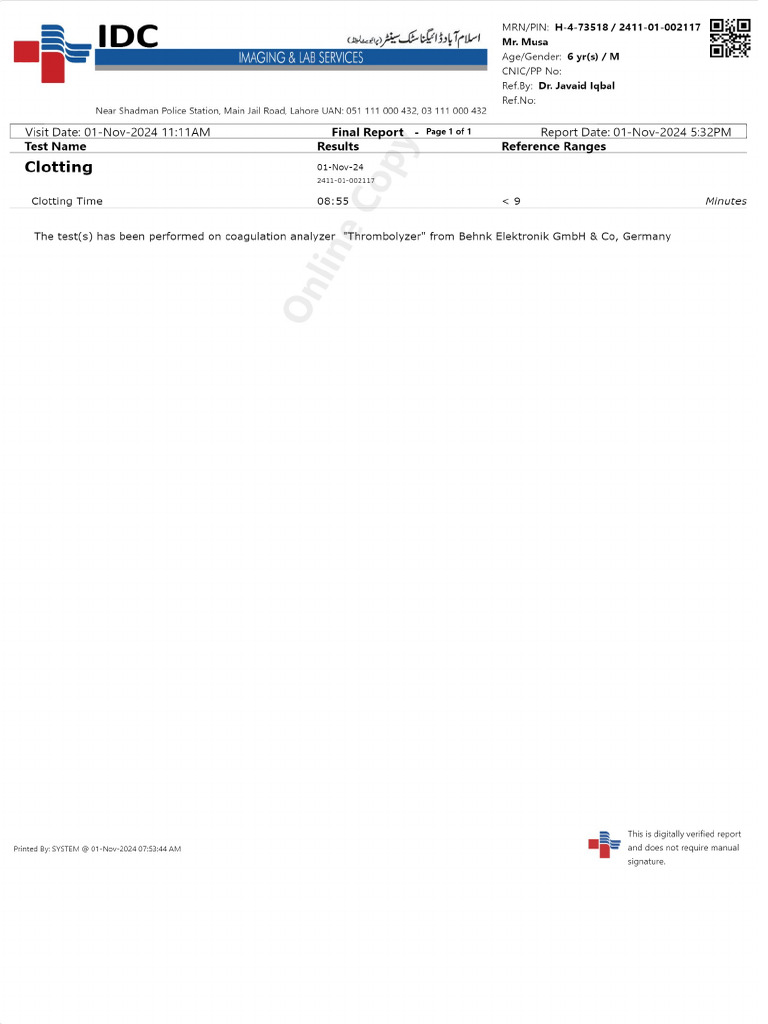 Patient Report PDF | PDF