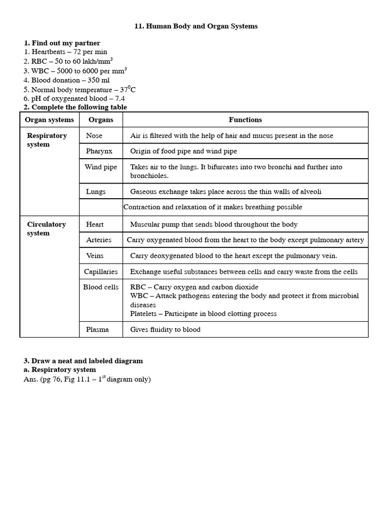 Notes STD 8 - 11 Human Body and Organ Systems | PDF | Blood ...