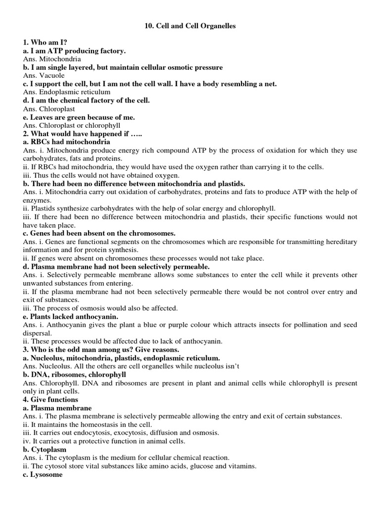 Cell Organelles and Their Functions | PDF | Cell (Biology) | Mitochondrion