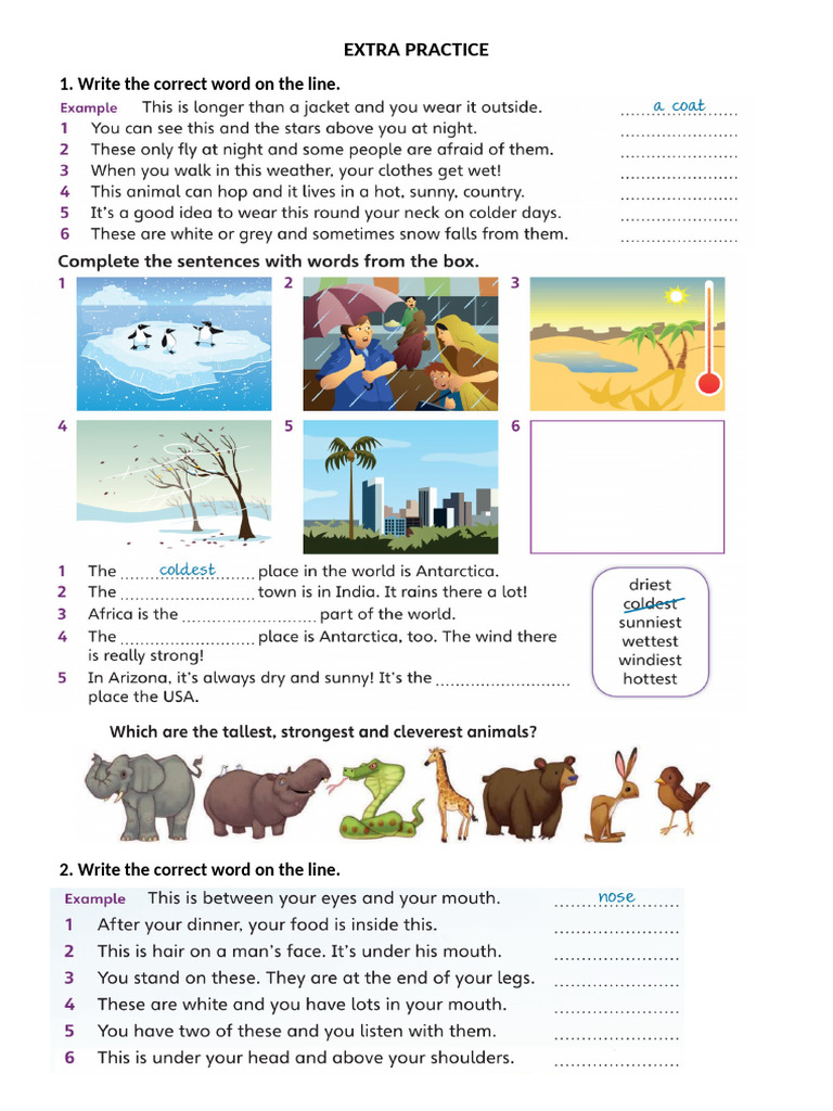 HOMEWORK BOOK | PDF