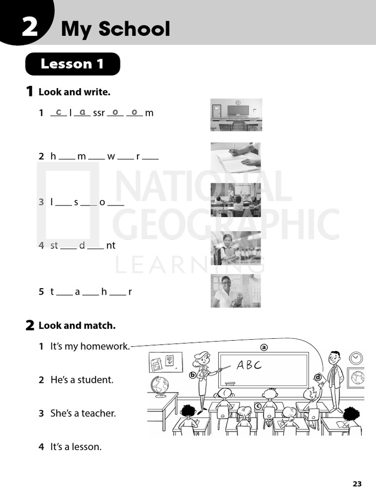 Wonderful World 3 Workbook Exercises | PDF