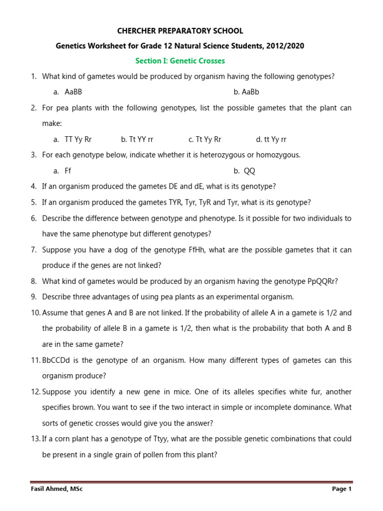 Grade 12 Genetics Worksheet Guide | PDF | Dominance (Genetics) | Genotype