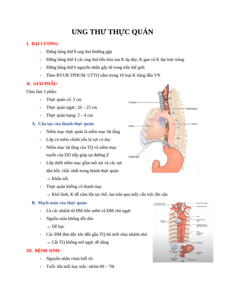 Ung Thư TH C Qu N | PDF