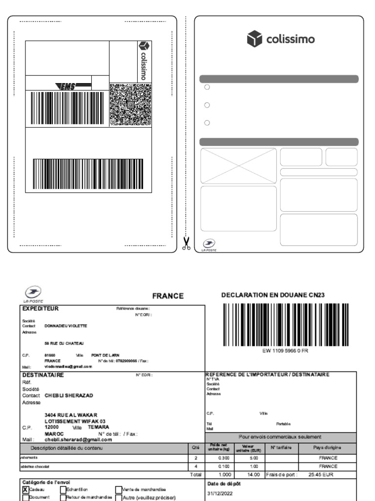 Étiquette Colissimo et Déclaration Douanière | PDF | Transport de ...