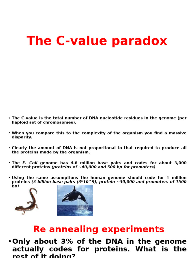 the-c-value-paradox-pdf-gene-promoter-genetics