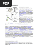 Apuesta Por Un Amor | PDF | Jacob | Naturaleza