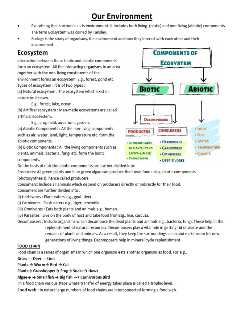 bio notes | PDF | Food Web | Ecosystem