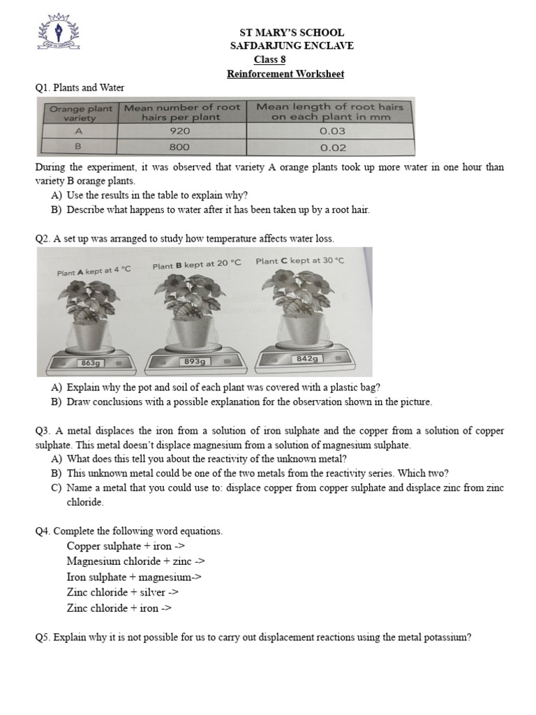 Class 8 Practice Worksheet PDF