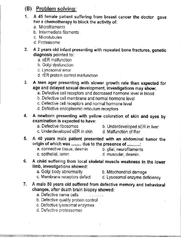 Cases 202412281320 30742 | PDF