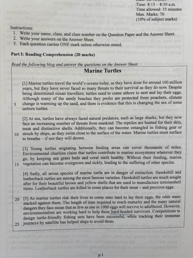 F3 HK Exam Reading Past Paper | PDF